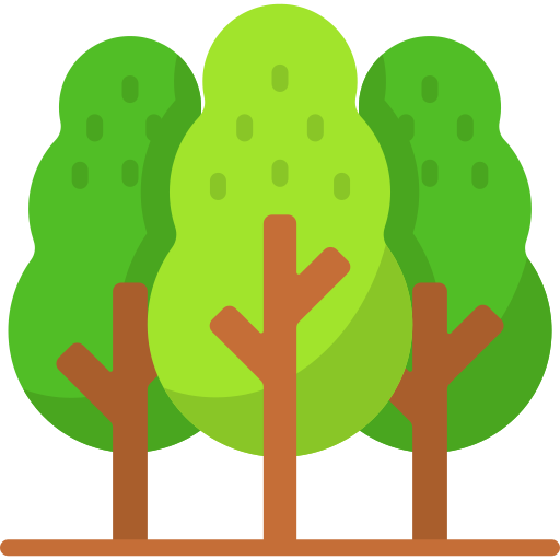Forêt